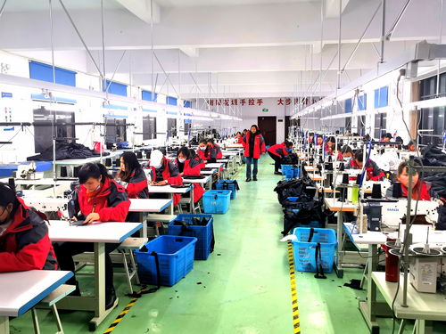 叶红专 兴产业增就业，以箱包销售为引擎巩固脱贫成果，全面推进乡村振兴